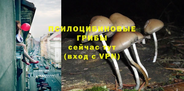 синтетический гашиш Богородицк