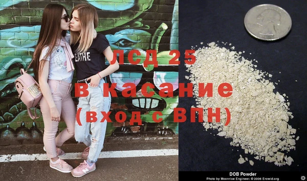 эйфоретик Богданович