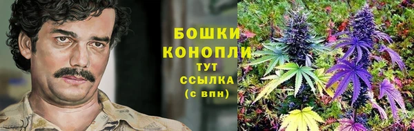 эйфоретик Богданович