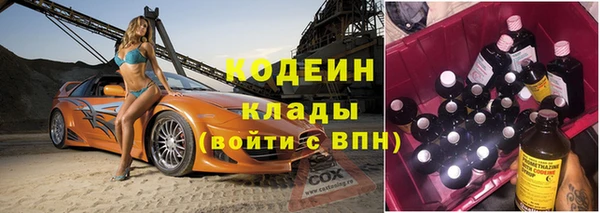 эйфоретик Богданович